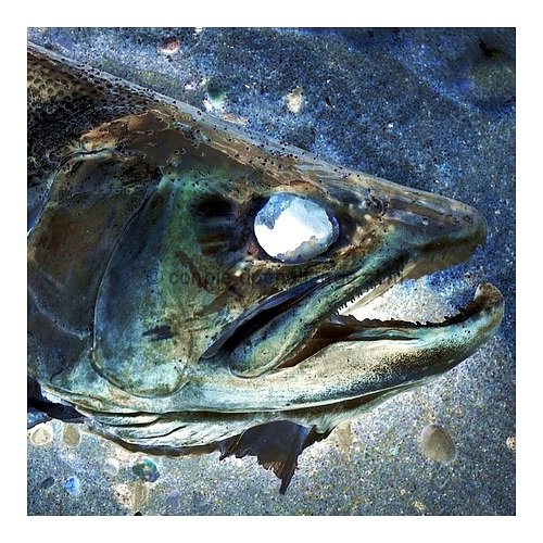 Washed Up