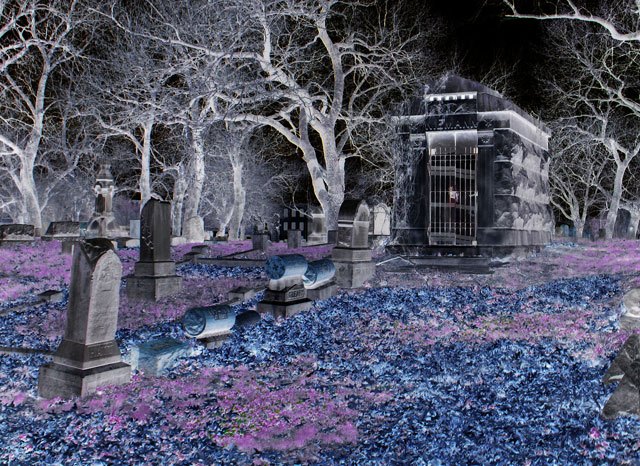 The Crypt