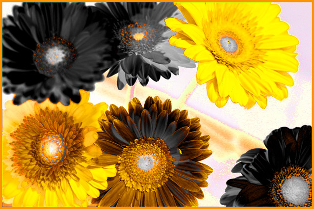You're a daisy if you do...