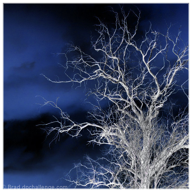 Realm of the Supernatural