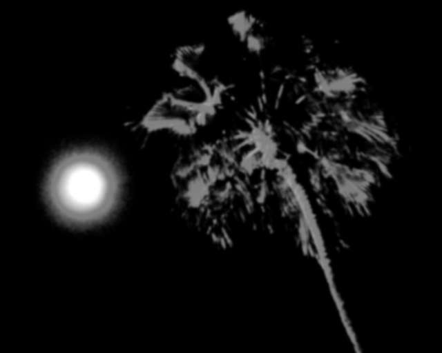 Moon Palm