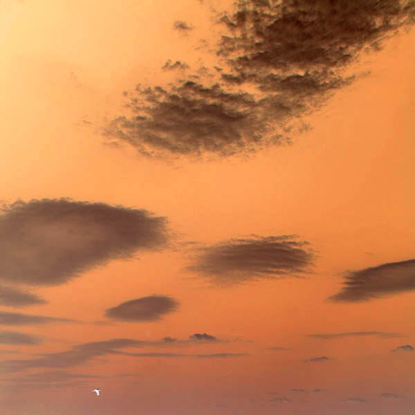Flight over Lake Michigan