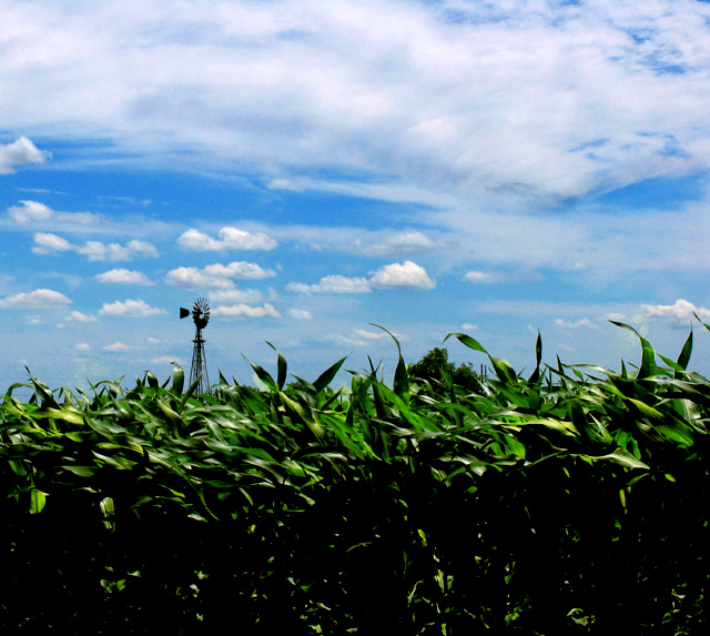 Reviving  America's Farmland