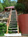 STEPS