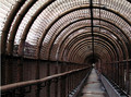 Tunnel