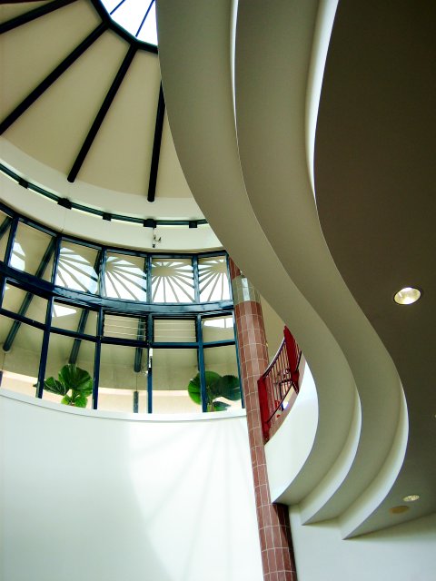 Skylight Serenade