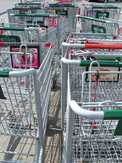 Shopping Carts