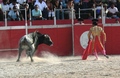 Mess with the bull, you'll get the horns