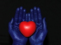 Cold Hands, Warm Heart