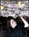 Pushing Up Daisies