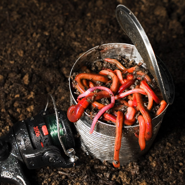 A reason to "Open a Whole New Can of Worms"