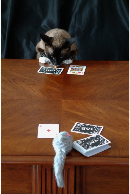 A Game of Cat and Mouse