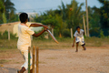 The Cricket Game