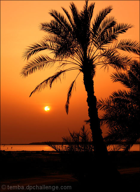 A Peaceful Time of Day