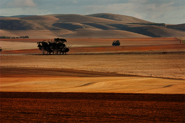 Fallow Fields