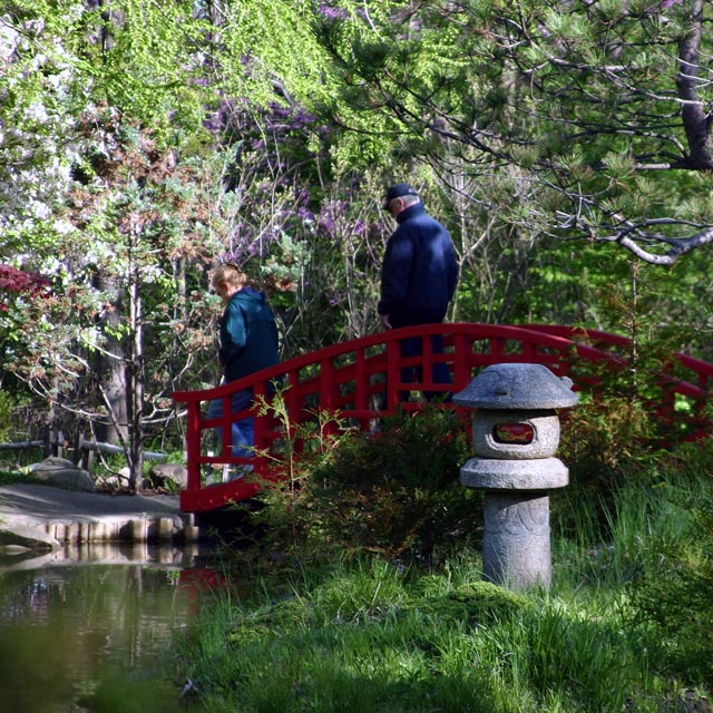 Dawn Pagoda Crossing