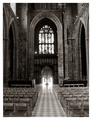 Enter The Light