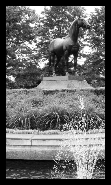 MAN o' WAR's Grave