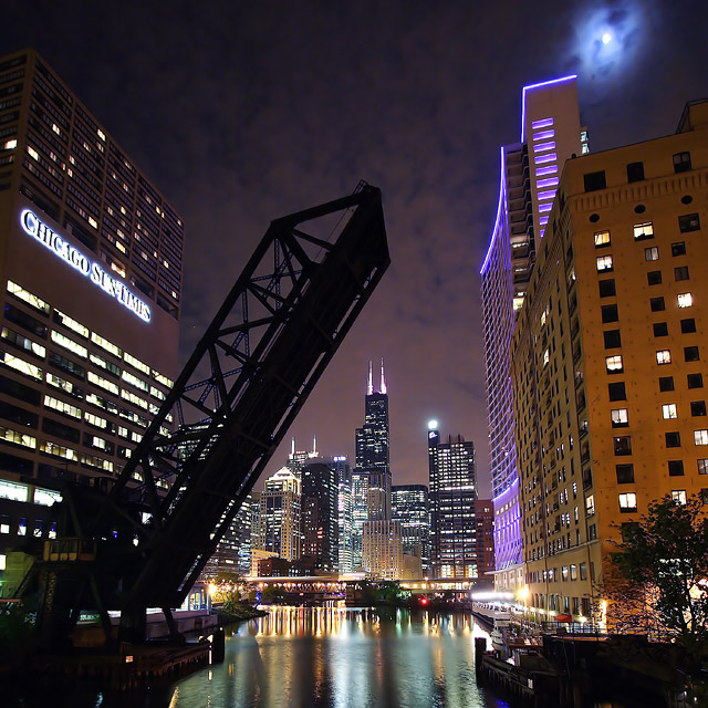 Night Shot