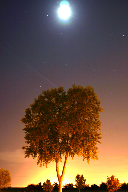 moonshine and night glow