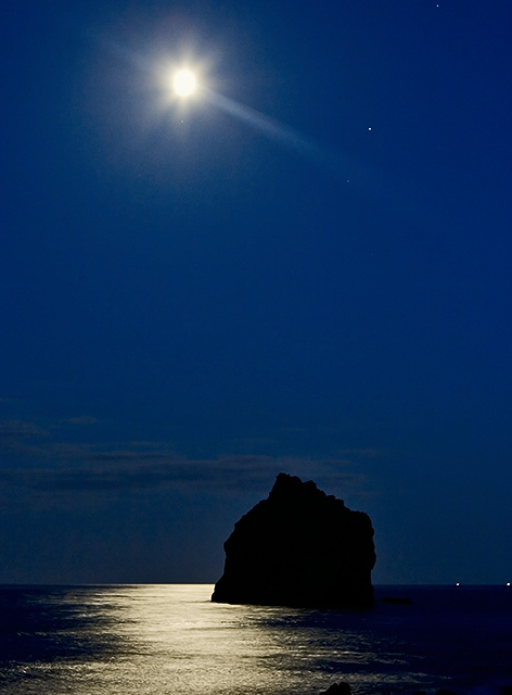 In the Moonlight