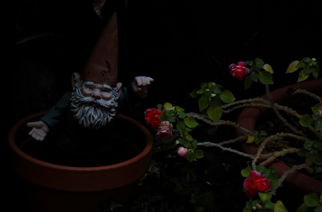 The Gnome Comes Out at Night