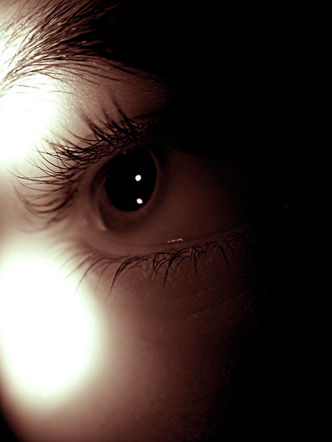 Quite A Lens !   (Infrared)