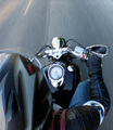 Portrait of a Rider