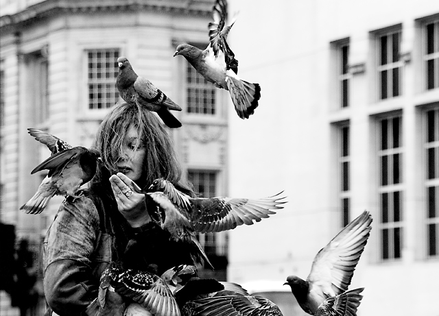 The Girl who Feeds the Pigeons