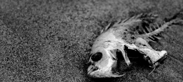 Out of Water