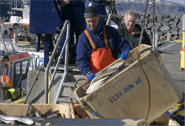 Fisherman at work