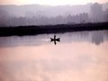 Sailing