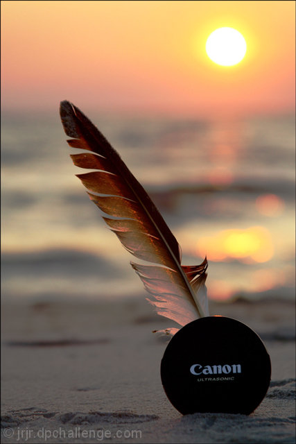 A Great Photo Is... A Feather In Your Cap!