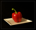 Red Pepper