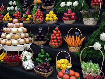 still life of vegetables