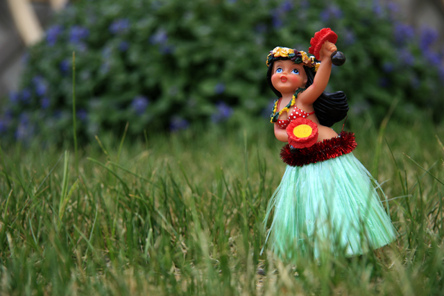 Hula Dancer