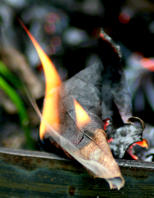 5 Stages of Grief: green, brown, smoking, flaming, ash