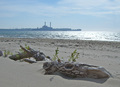 Our Failure To Mother Earth