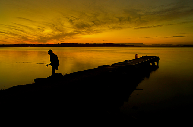 Couldn't catch a cold..