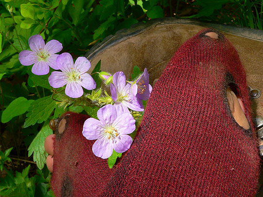 Gear Failure: worn-out socks