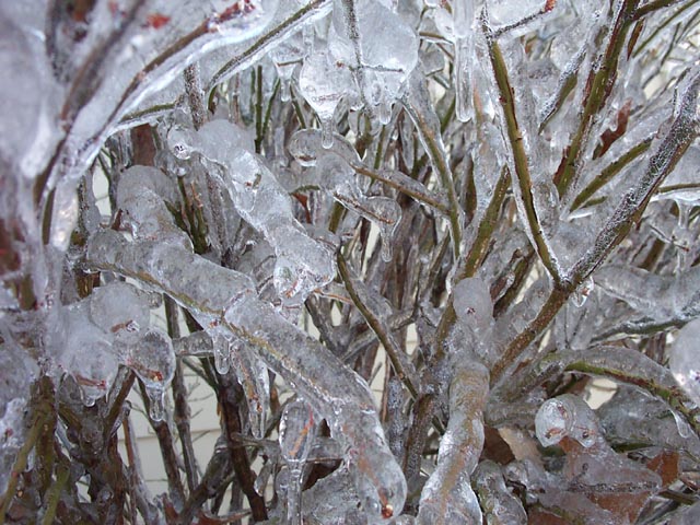 Natural Ice Sculptures