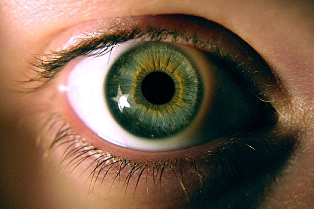 The Girl with the Sparkling Eye