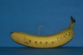 Yellow SubMarine