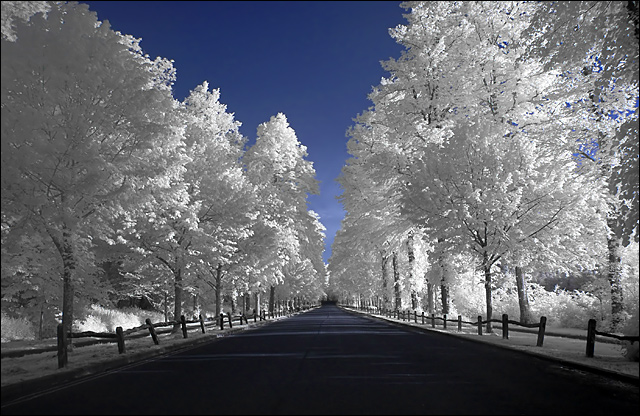There beneath the blue suburban skies...