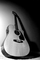shadow of sound