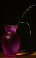 Grass in Glass