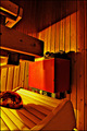 Sauna heater