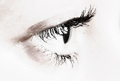 Sight