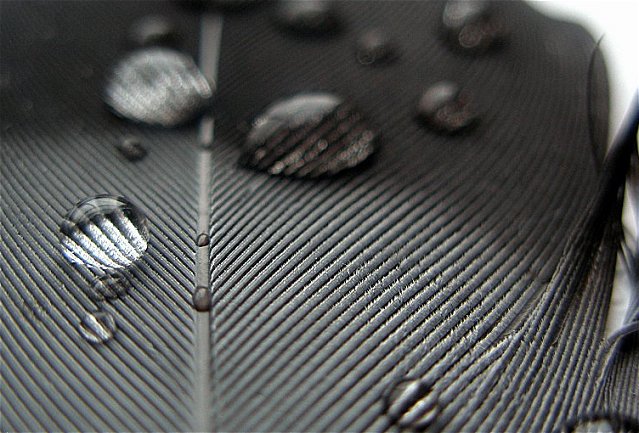 Drops