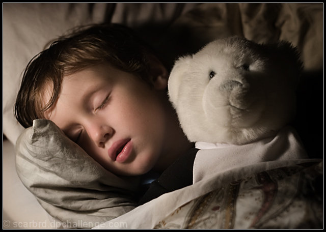 A Boy and His Bear